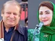 Nawaz Sharif's refusal to accept post of PM doesn't mean he is quitting politics: Maryam